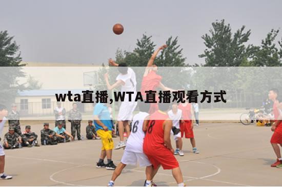 wta直播,WTA直播观看方式