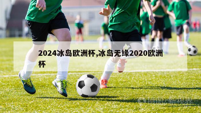 2024冰岛欧洲杯,冰岛无缘2020欧洲杯