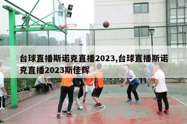 台球直播斯诺克直播2023,台球直播斯诺克直播2023斯佳辉