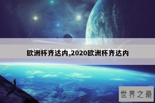 欧洲杯齐达内,2020欧洲杯齐达内