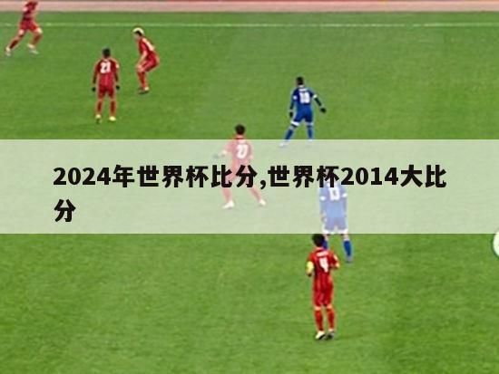 2024年世界杯比分,世界杯2014大比分