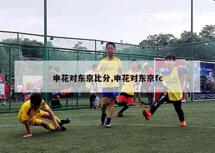 申花对东京比分,申花对东京fc