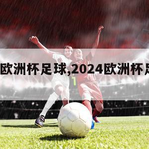 2024欧洲杯足球,2024欧洲杯足球名字