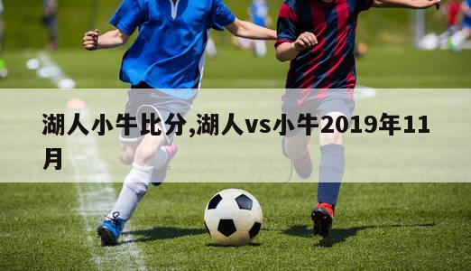 湖人小牛比分,湖人vs小牛2019年11月