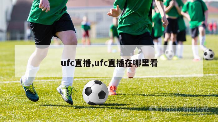 ufc直播,ufc直播在哪里看