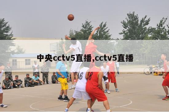 中央cctv5直播,cctv5直播