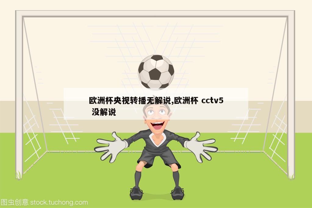 欧洲杯央视转播无解说,欧洲杯 cctv5 没解说