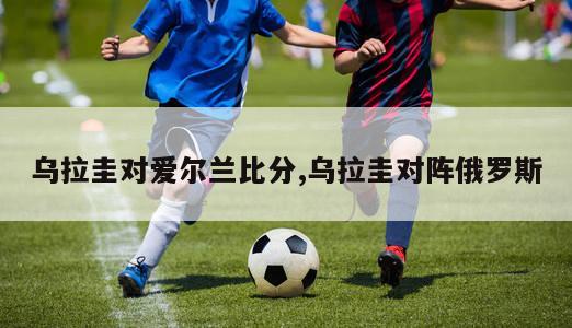 乌拉圭对爱尔兰比分,乌拉圭对阵俄罗斯