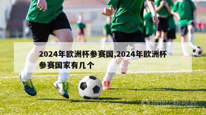 2024年欧洲杯参赛国,2024年欧洲杯参赛国家有几个