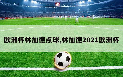 欧洲杯林加德点球,林加德2021欧洲杯