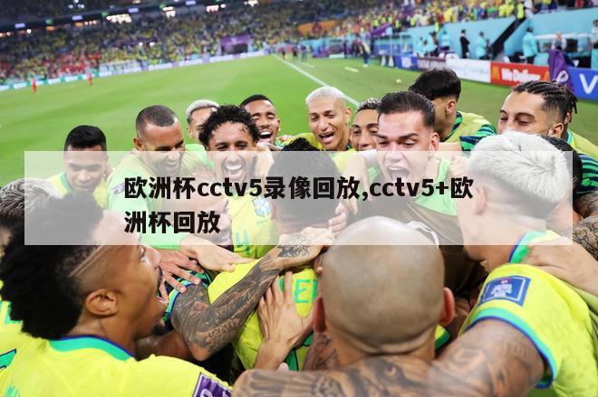 欧洲杯cctv5录像回放,cctv5+欧洲杯回放