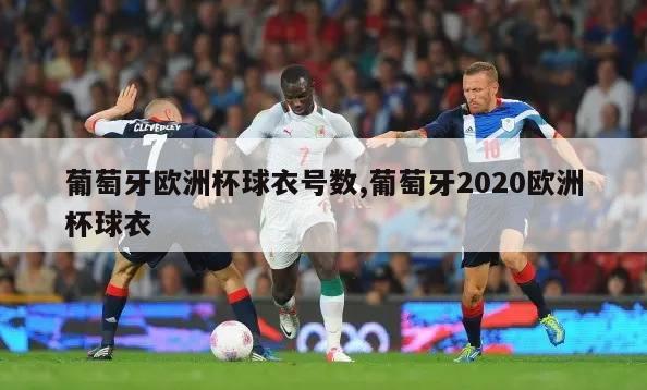 葡萄牙欧洲杯球衣号数,葡萄牙2020欧洲杯球衣