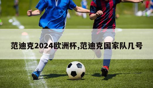 范迪克2024欧洲杯,范迪克国家队几号