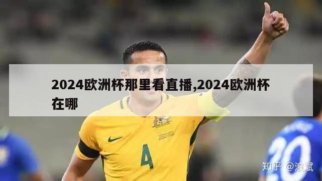 2024欧洲杯那里看直播,2024欧洲杯在哪