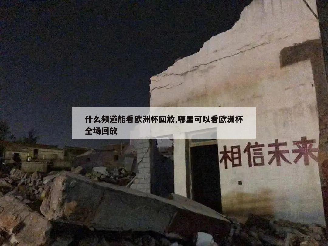 什么频道能看欧洲杯回放,哪里可以看欧洲杯全场回放