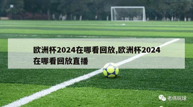 欧洲杯2024在哪看回放,欧洲杯2024在哪看回放直播