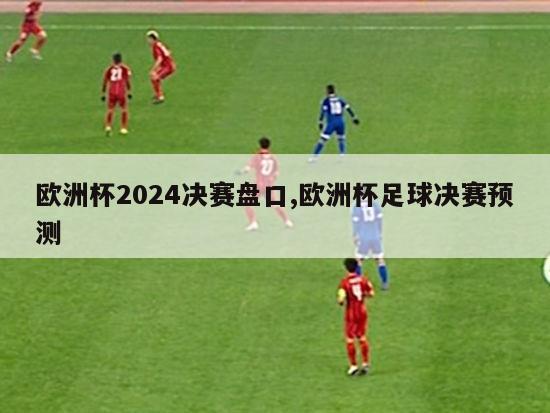 欧洲杯2024决赛盘口,欧洲杯足球决赛预测