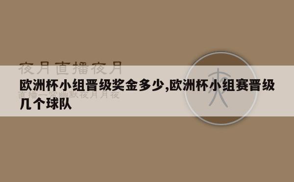 欧洲杯小组晋级奖金多少,欧洲杯小组赛晋级几个球队