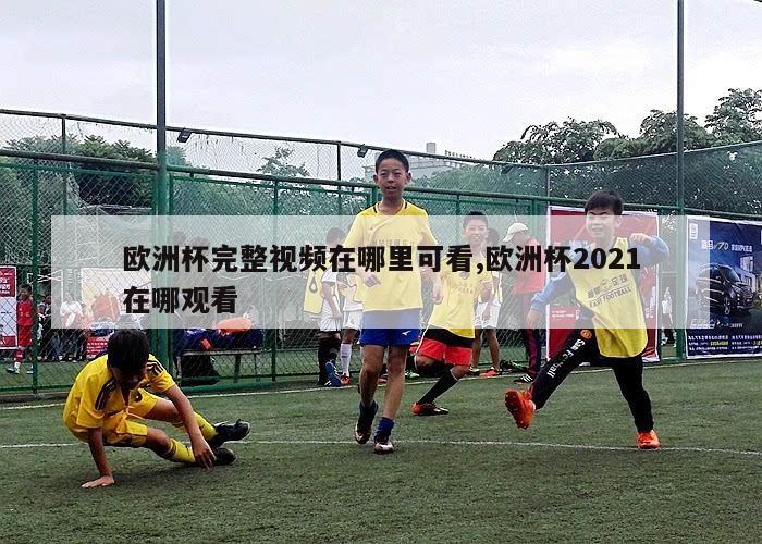 欧洲杯完整视频在哪里可看,欧洲杯2021在哪观看