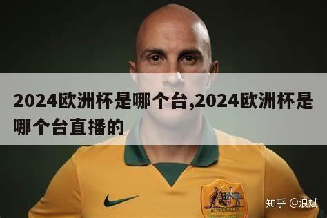 2024欧洲杯是哪个台,2024欧洲杯是哪个台直播的